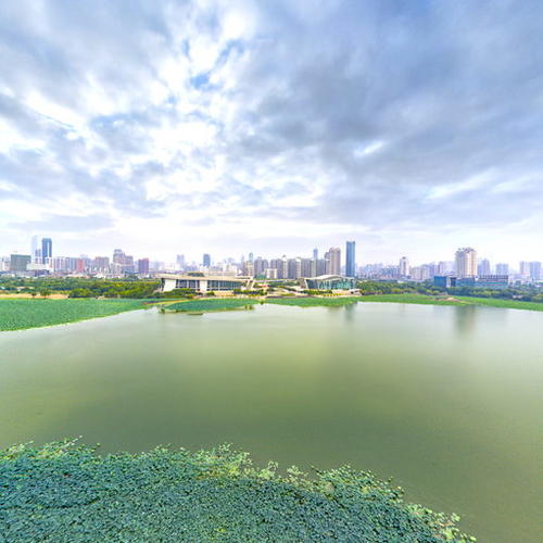 黑龙江三款正射图合并软件性能对比